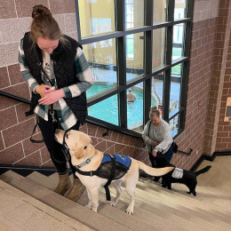 The Importance of Training Service Dogs in Public Environments