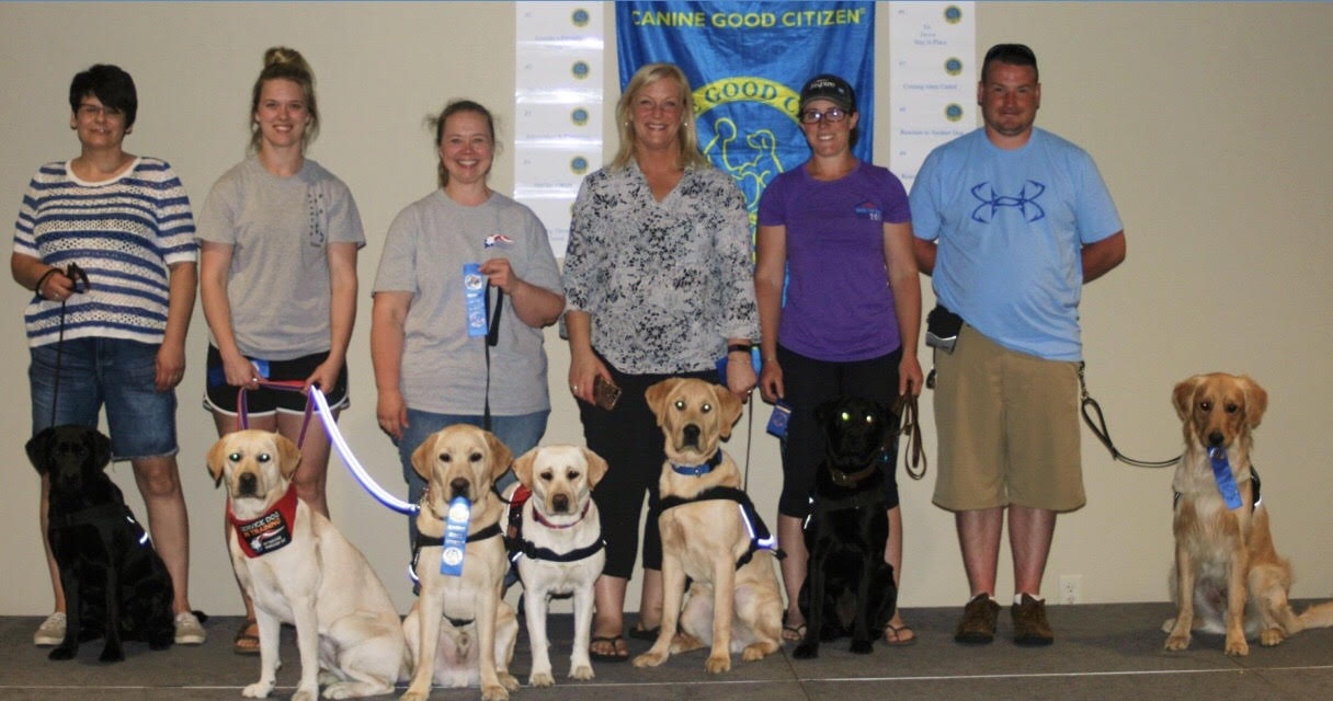 7 RFI dogs become Good Citizens