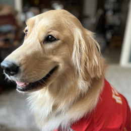 Celebrating our First Facility Dog Placement