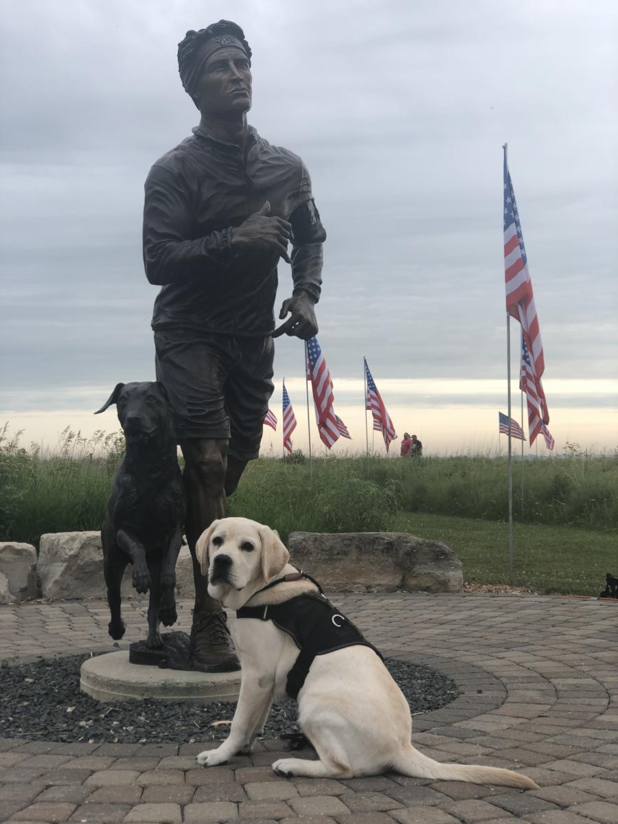 Hero Military Dog Laps Up Spotlight at Triumphant Homecoming